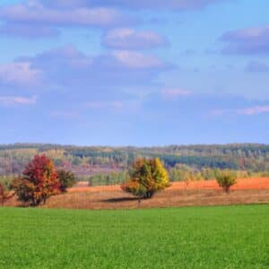 North Carolina Featured Location