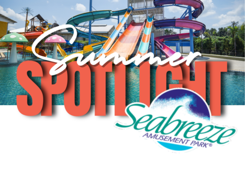 spotlight Rochester, NY